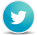 twitter icon